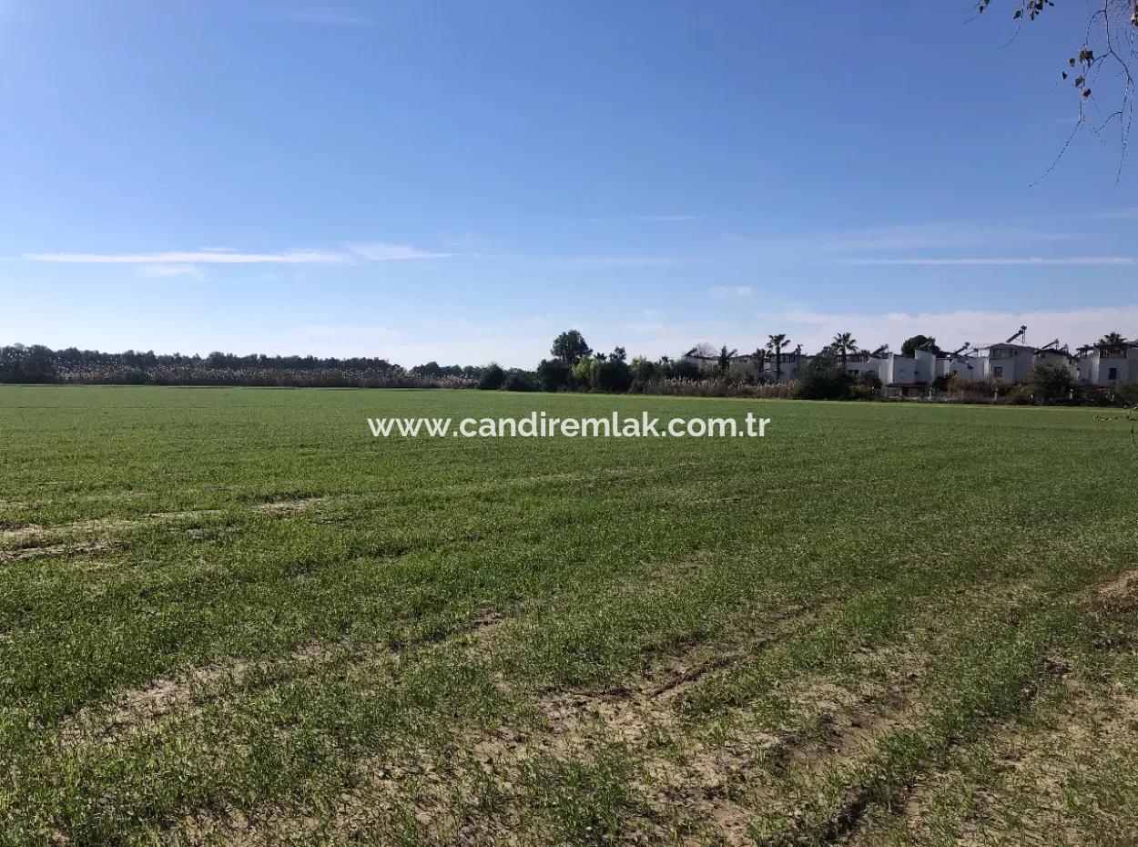 Sarıgermede Satılık Arsa Deniz Manzaralı 30,000M2 Satılık Arsa