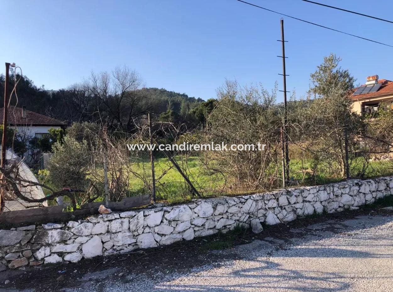 Ula Sarayyanı'nda 777M2 Satılık Arsa