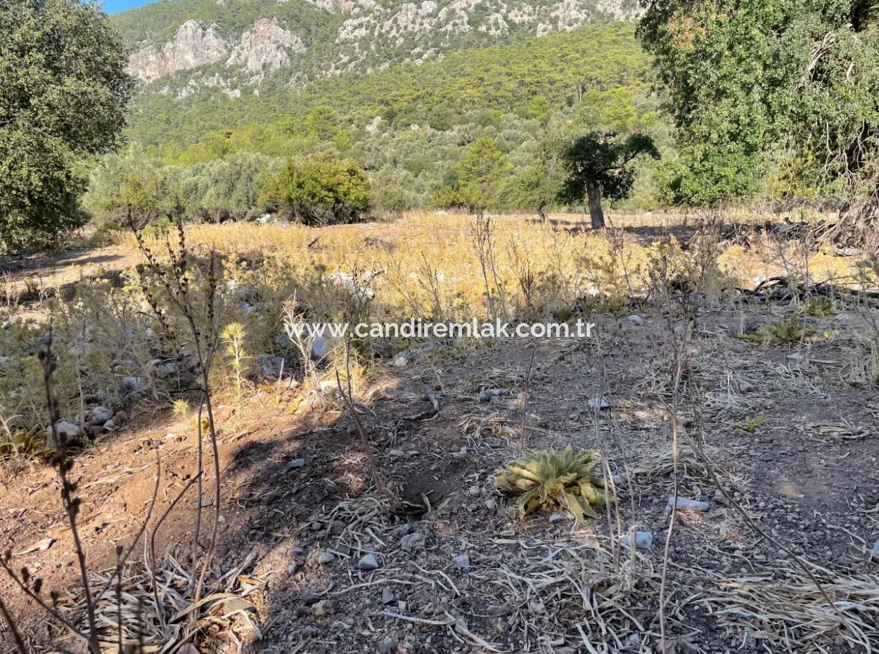 Çandır Deniz Manzaralı 2620M2 Satılık Arazi Tarla