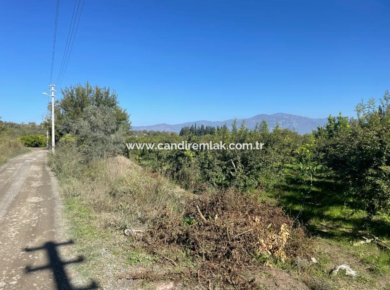 Dalyan'da Satılık 2223M2 Tarla
