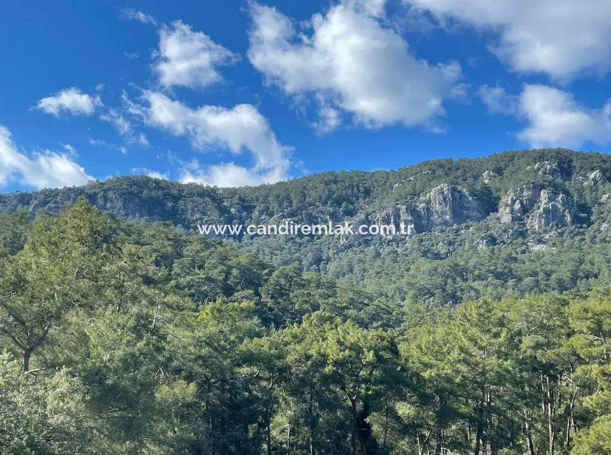 Çandır Da Göl Manzaralı 4000M2 Satılık Tarla