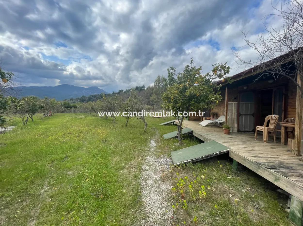 Dalyan Satılık Butik Otel 11.000M2 Arsa İçinde Satılık Bungolevler