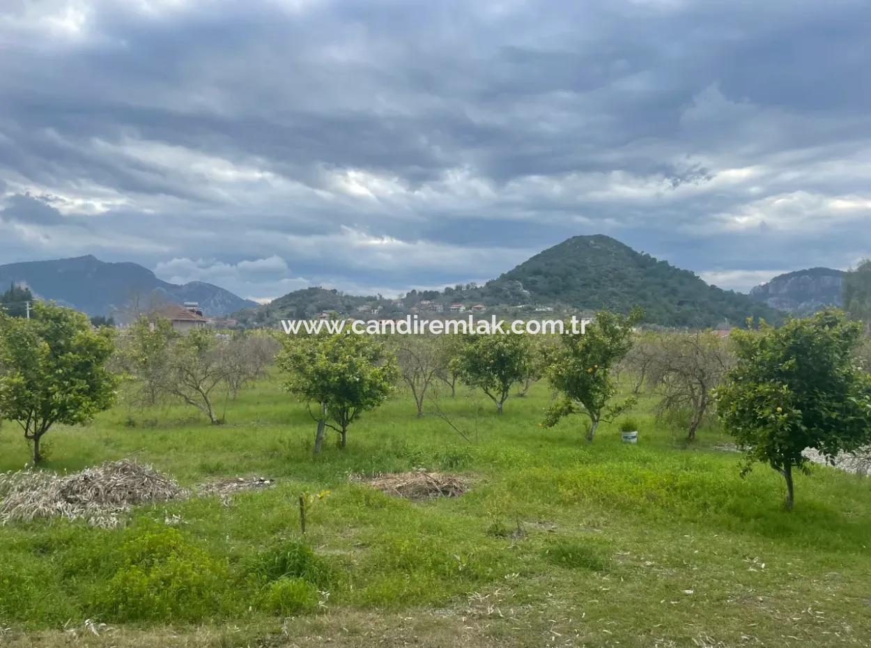 Dalyan Satılık Butik Otel 11.000M2 Arsa İçinde Satılık Bungolevler