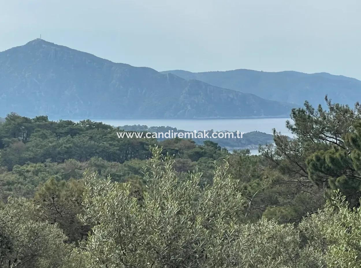 Ekincikde Deniz Manzaralı Zeytin Evi Satılıktır