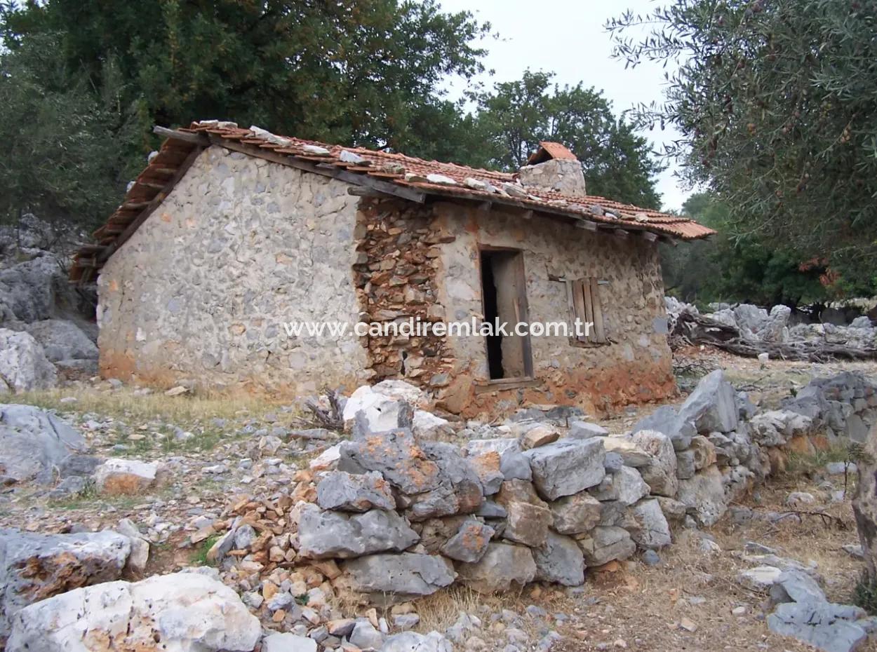 Sarsalada Deniz Manzaralı 4274M2 Arsa İçinde Satılık Taş Ev