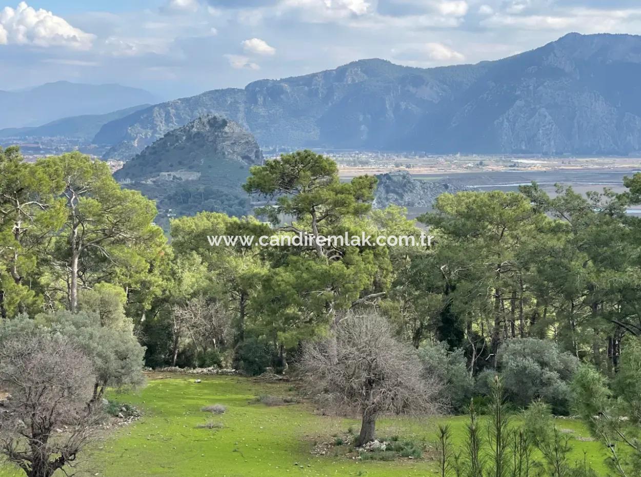 Çandır'da Deniz Göl Manzaralı Satılık 10,707M2 2B Tarlası