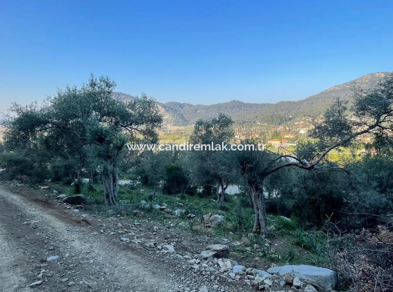 Çandır Göl Deniz Manzaralı 2,806M2 2B Satılık Tarla