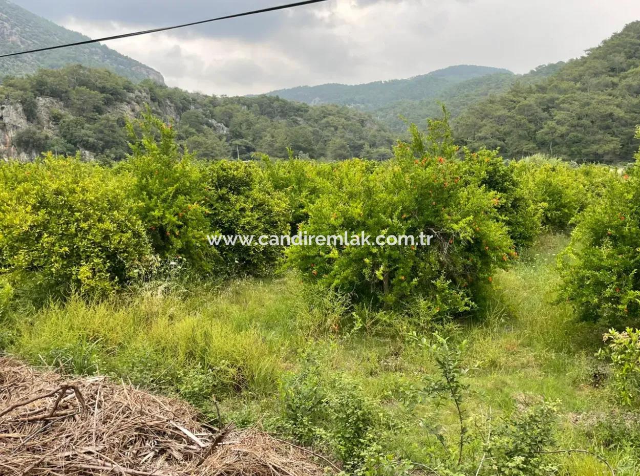 Gökbelde 14,000M2 Satılık Tarla