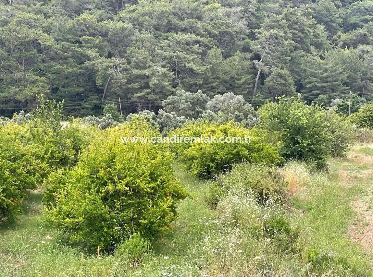 Gökbelde 14,000M2 Satılık Tarla