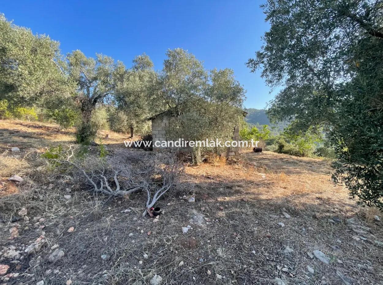 Çandır Full Deniz Ve Göl Manzaralı 500M2 Satılık 2B Tarla