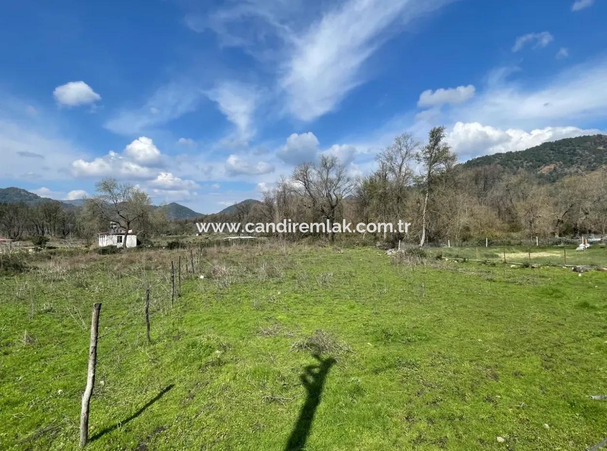 Sultaniye Büyükkaraç Mahallesin Satılık Tarla