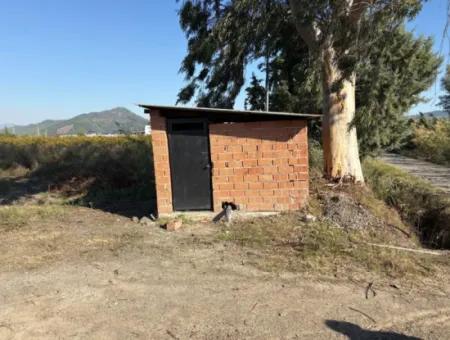 Eskiköy'de 21500M2 Satılık Nar Bahçesi