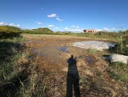 Ortaca Yeşilyurt'ta 3900M2 Satılık Arsa